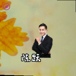 陈跃